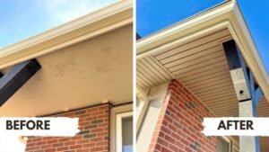 Fascia and Soffit Cleaning