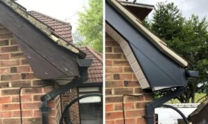 Fascia and Soffit Cleaning