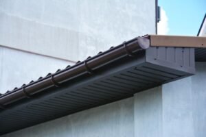 Fascia and Soffit Cleaning