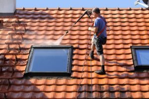Roof Cleaning Services