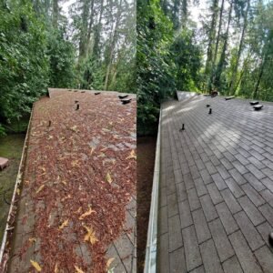 Roof Cleaning Services